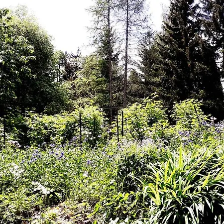 Your Secret Garden In The Center Of Crans-montana! *