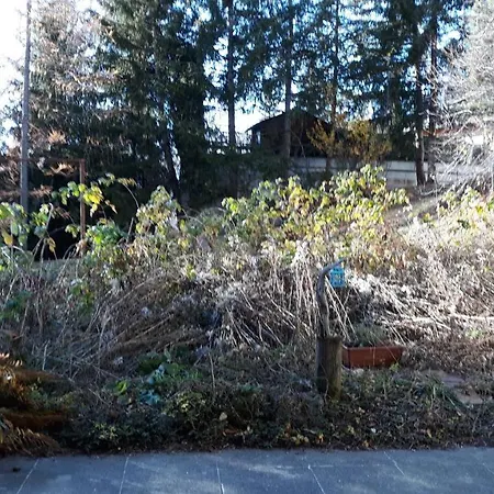 Your Secret Garden In The Center Of Crans-montana! * 克莱恩 蒙塔纳