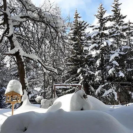 Appartement Your Secret Garden In The Center Of Crans-montana!